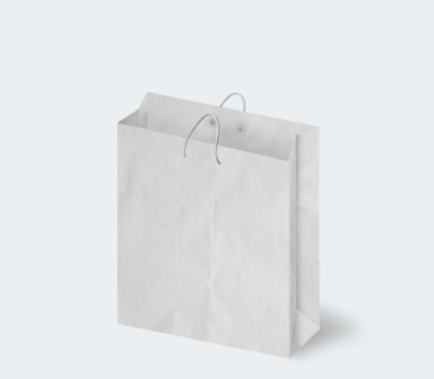Vertical paper carrier bag with corded handles