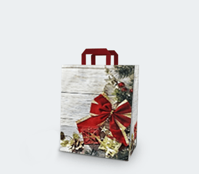 Vertical paper carrier bag with flat handles "Gift"