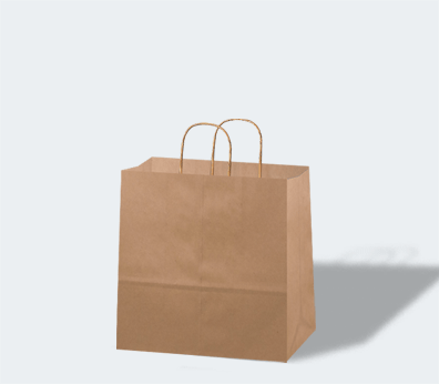 Take-away paper carrier bag with twisted handles